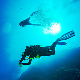 We are going to the Go Diving show!