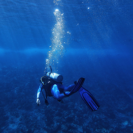 Bringing back some old favourites