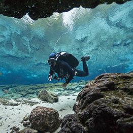 OMS & BTS PRODUCTS NOW AVAILABLE!!