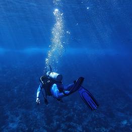 Bringing back some old favourites